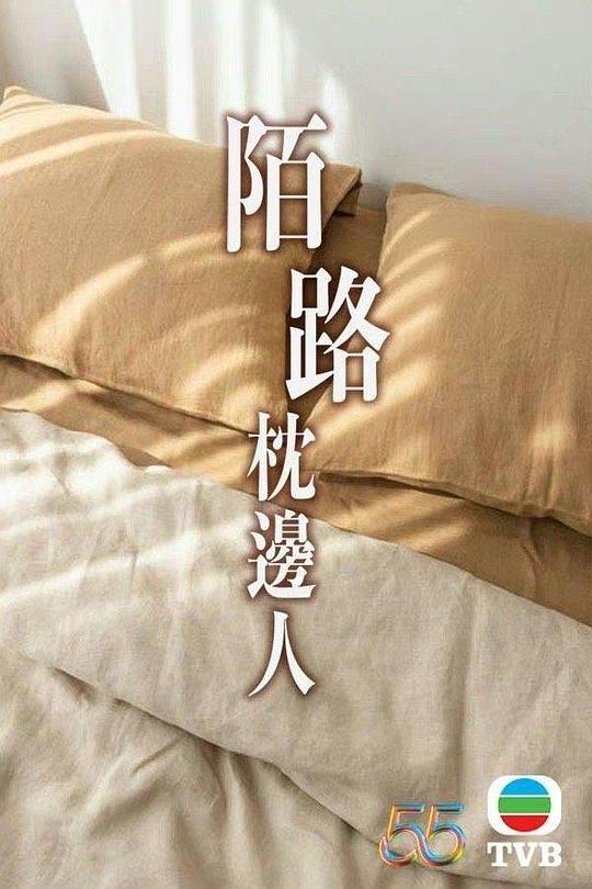 再见枕边人粤语(全集)